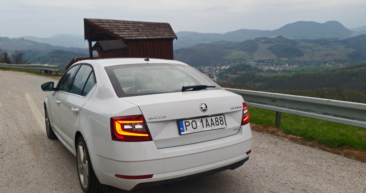 Skoda Octavia 2.0 TDI 4x4 /INTERIA.PL