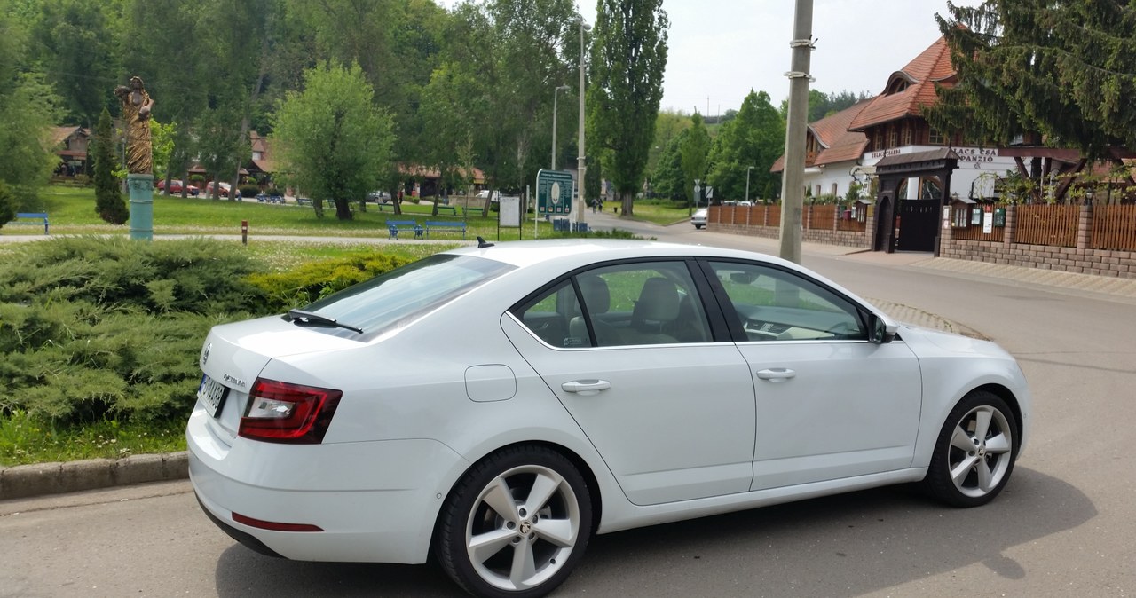 Skoda Octavia 2.0 TDI 4x4 /INTERIA.PL