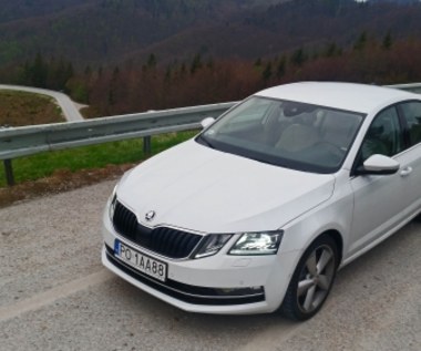 Skoda Octavia 2.0 TDI - idealna na daleki wyjazd?