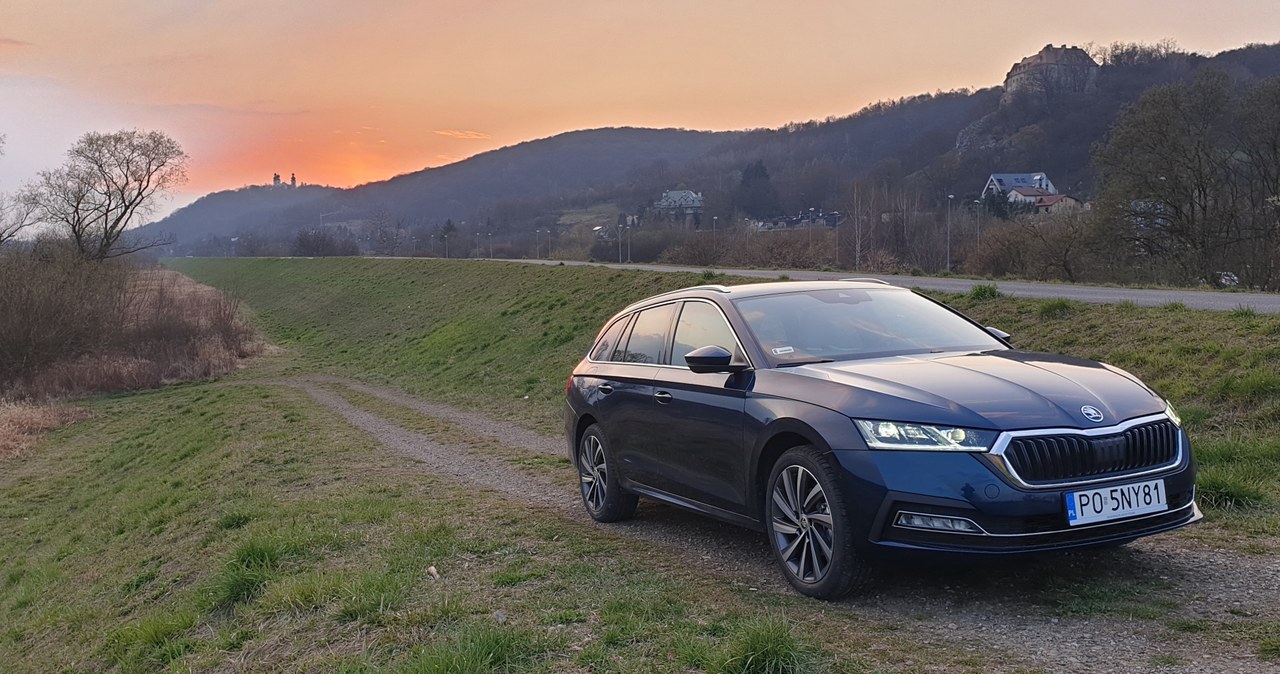 Skoda Octavia 2020 /INTERIA.PL