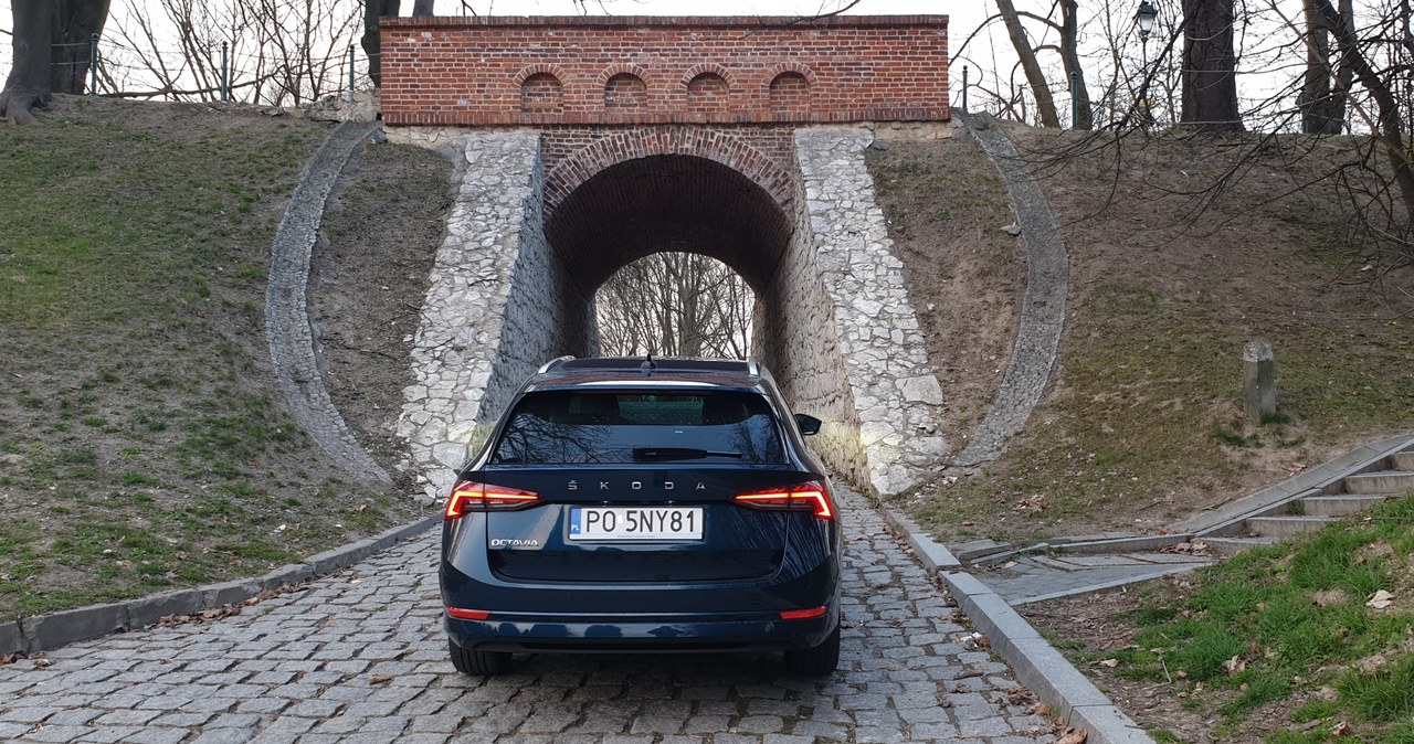 Skoda Octavia 2020 /INTERIA.PL