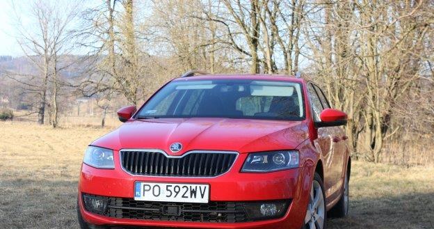 Skoda Octavia 4x4 /INTERIA.PL