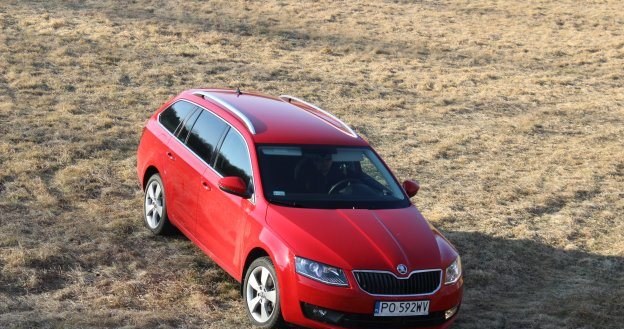 Skoda Octavia 4x4 /INTERIA.PL