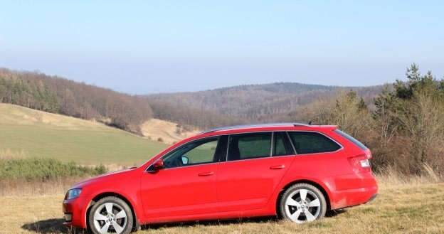 Skoda Octavia 4x4 /INTERIA.PL