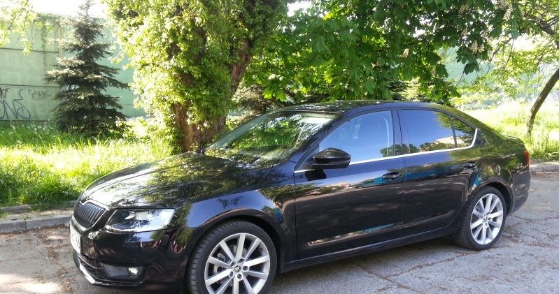 Skoda Octavia III /INTERIA.PL