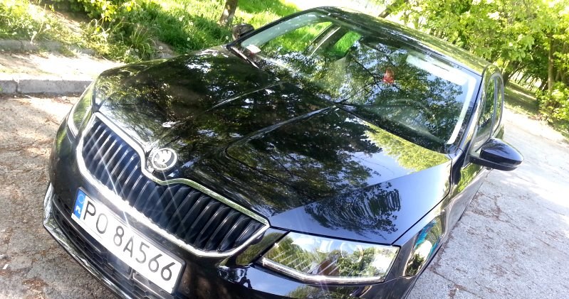 Skoda Octavia III /INTERIA.PL