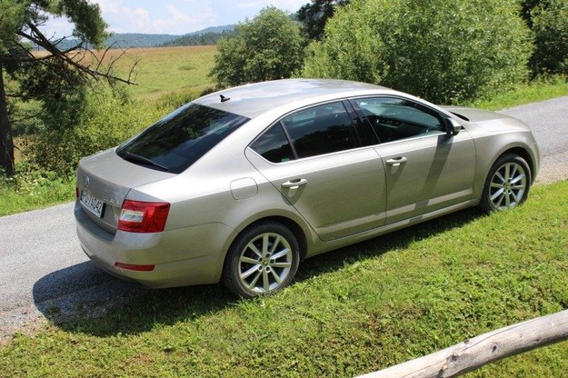 Skoda Octavia jest najchętniej kupowanym autem w Polsce /INTERIA.PL