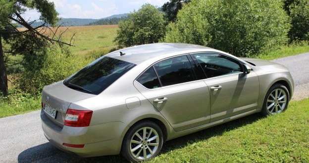 Skoda Octavia jest najchętniej kupowanym autem w Polsce /INTERIA.PL