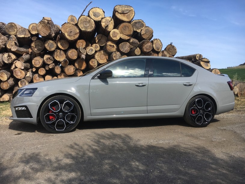 Skoda Octavia RS 245 /INTERIA.PL