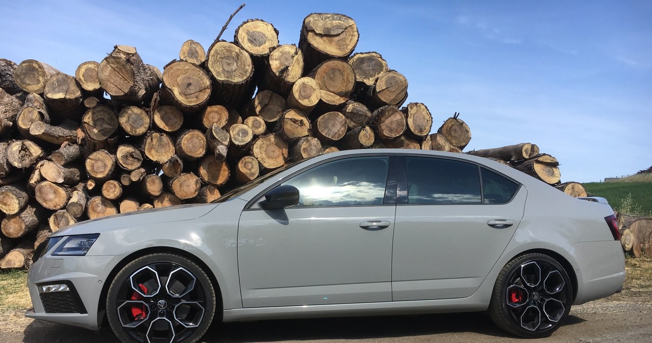 Skoda Octavia RS 245 /INTERIA.PL