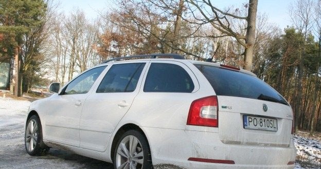 Skoda octavia RS /INTERIA.PL