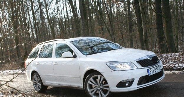 Skoda octavia RS /INTERIA.PL