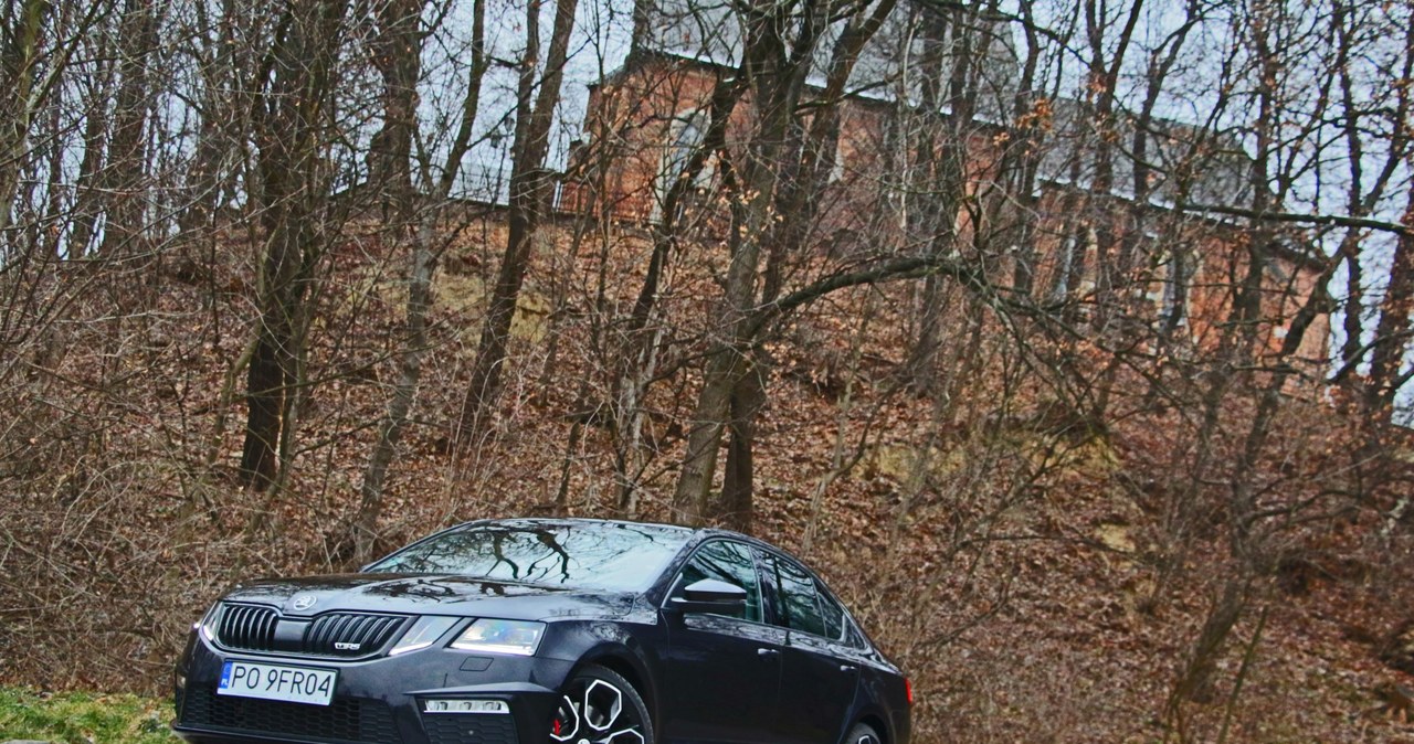 Skoda Octavia RS /INTERIA.PL