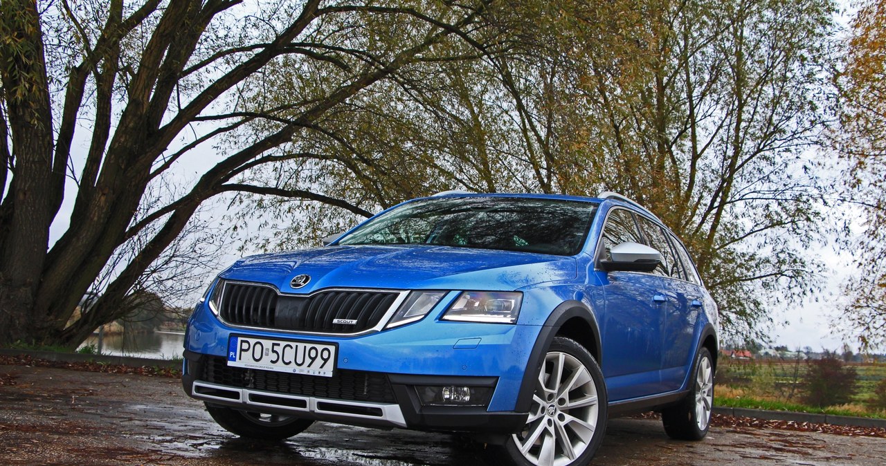 Skoda Octavia Scout 1.8 TSI /INTERIA.PL