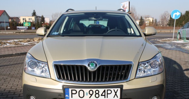 Skoda octavia scout /INTERIA.PL