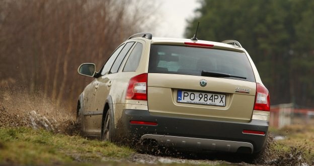 Skoda octavia scout /Informacja prasowa