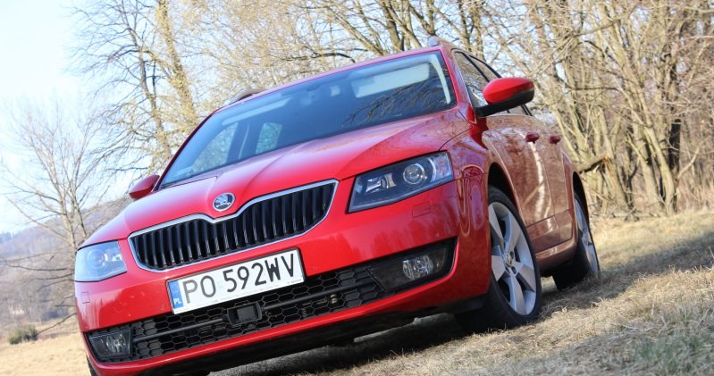 Skoda Octavia sprzedaje się świetnie i w Polsce i w Czechach /INTERIA.PL