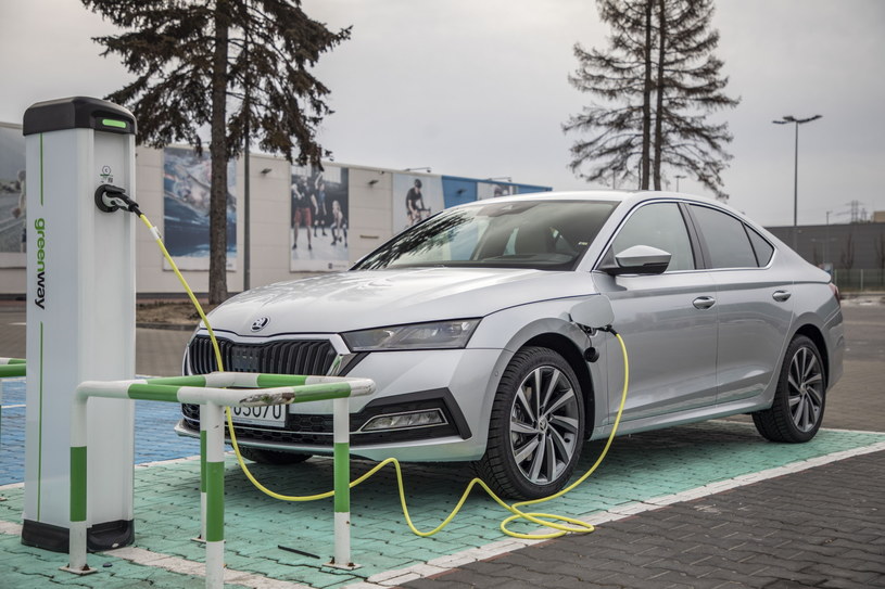 Skoda Octavia to idealne auto rodzinne - oferuje dużo miejsca we wnętrzu i oszczędną jazdę /materiały prasowe