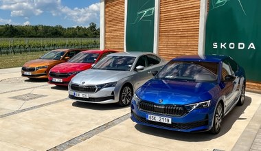Skoda Octavia za mniej niż 500 zł. Takiej oferty jeszcze nie było 