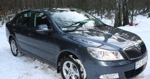 Skoda octavia /INTERIA.PL