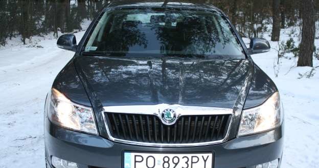 Skoda octavia /INTERIA.PL