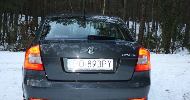 Skoda octavia /INTERIA.PL