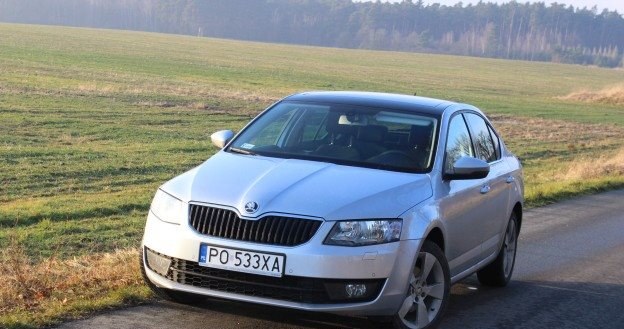 Skoda Octavia /INTERIA.PL