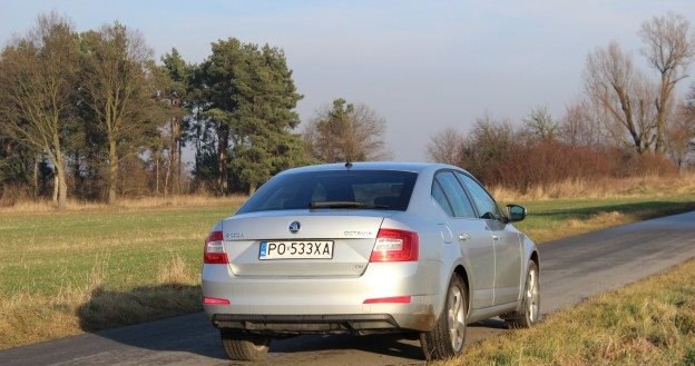 Skoda Octavia /INTERIA.PL