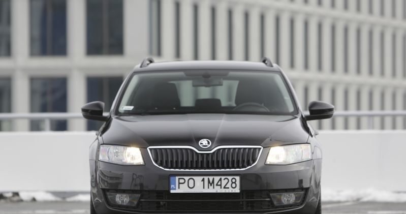 Skoda Octavia /INTERIA.PL