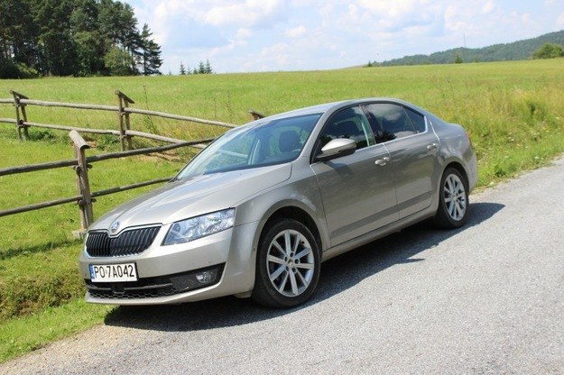 Skoda Octavia /INTERIA.PL