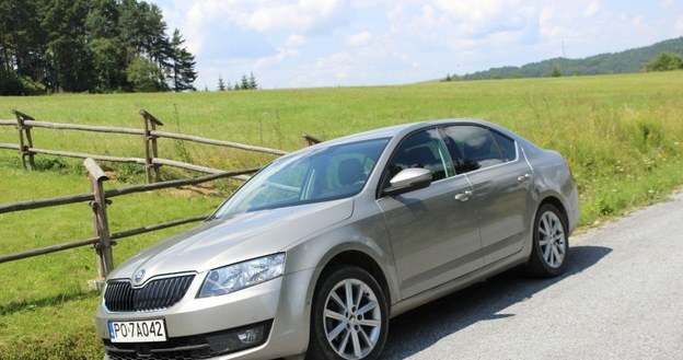 Skoda Octavia /INTERIA.PL