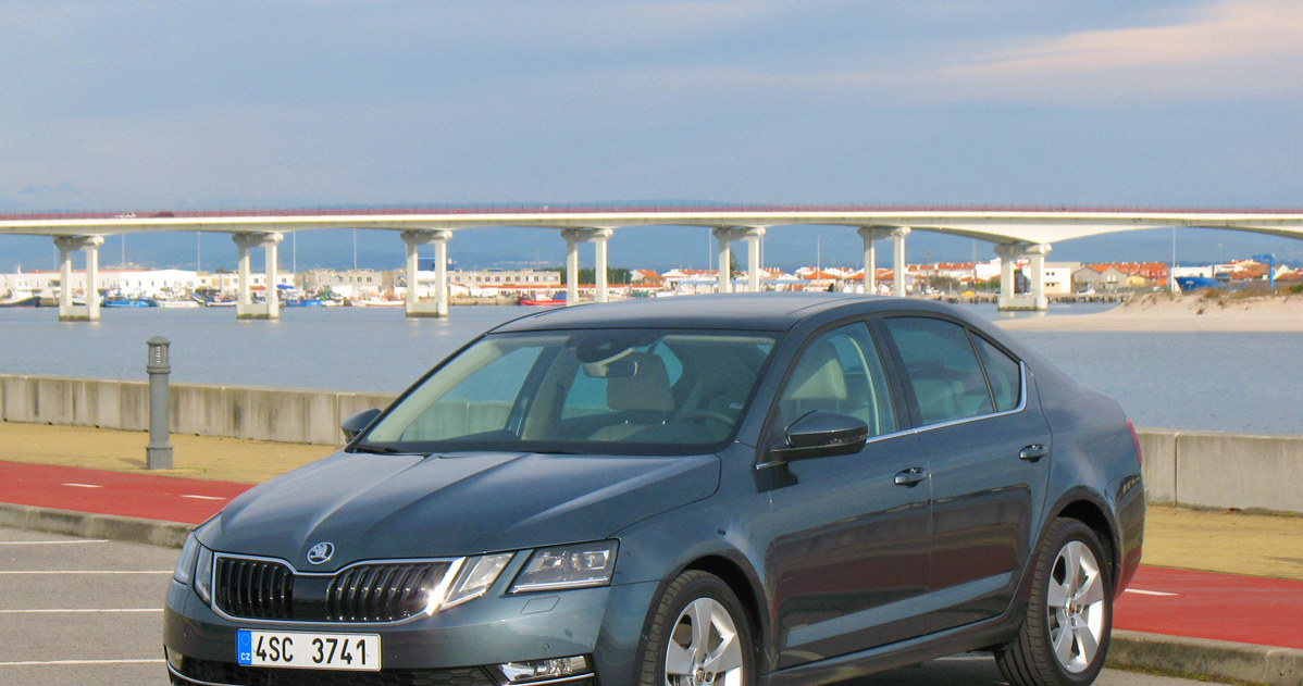 Skoda Octavia /INTERIA.PL