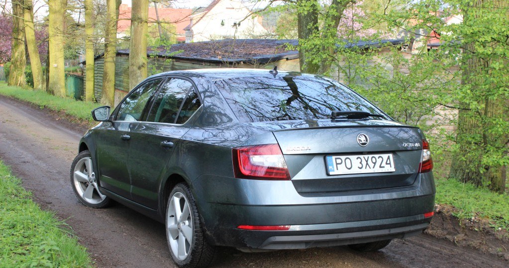 Skoda Octavia /INTERIA.PL