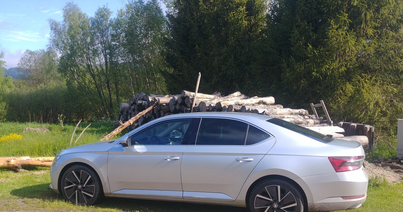 Skoda Superb iV /INTERIA.PL