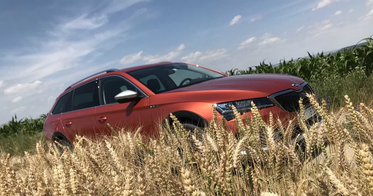 Skoda Superb Scout /INTERIA.PL