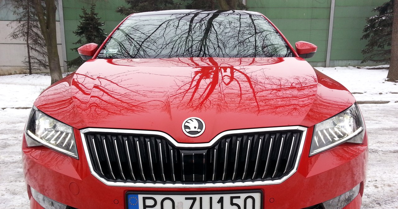 Skoda Superb /INTERIA.PL