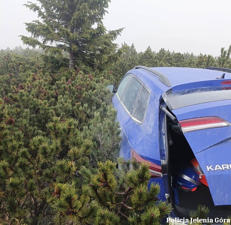 Skoda w kosodrzewinie pod Śnieżką. /KMP w Jeleniej Górze /