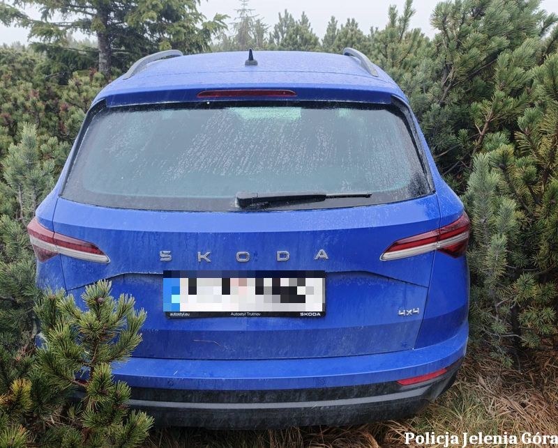 Skoda w kosodrzewinie pod Śnieżką. /KMP w Jeleniej Górze /