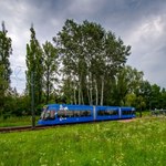 Skok na miedź. Ukradli kable trakcji, nie kursowały tramwaje