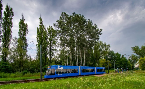 Skok na miedź. Ukradli kable trakcji, nie kursowały tramwaje