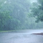 "Skoki na wykresach powoduje deszcz". Państwowa Agencja Atomistyki uspokaja
