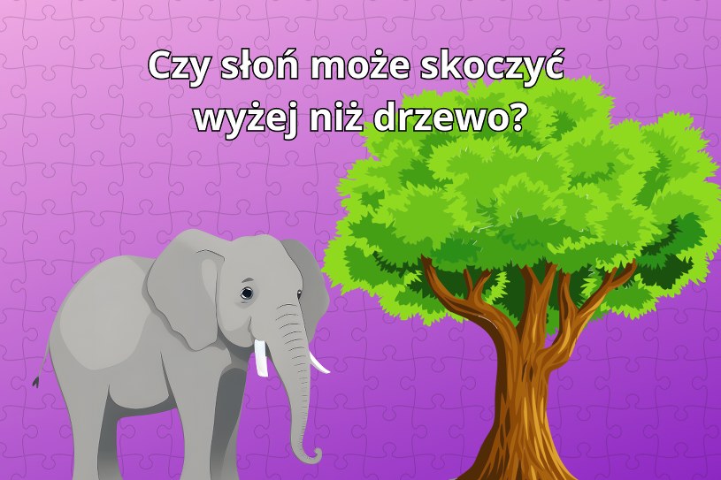 Skomplikowana zagadka na logiczne myślenie. Niektórym wciąż śni się po nocach