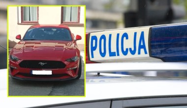 Skonfiskowali Mustanga pijanemu kierowcy. Teraz ma zasilić szeregi policji