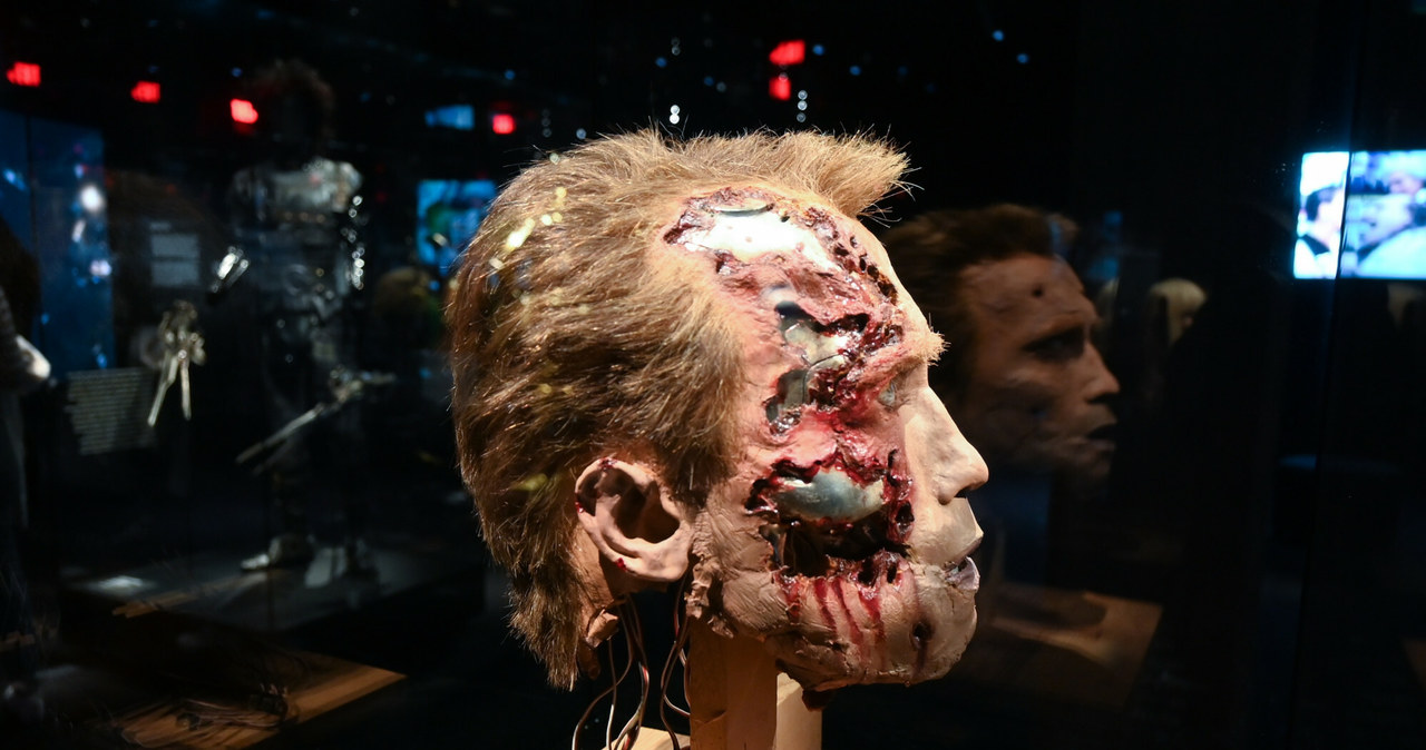 Skóra cyborga T-800 z filmu "Terminator". Muzeum Amerykańskiej Akademii Filmowej. /East News