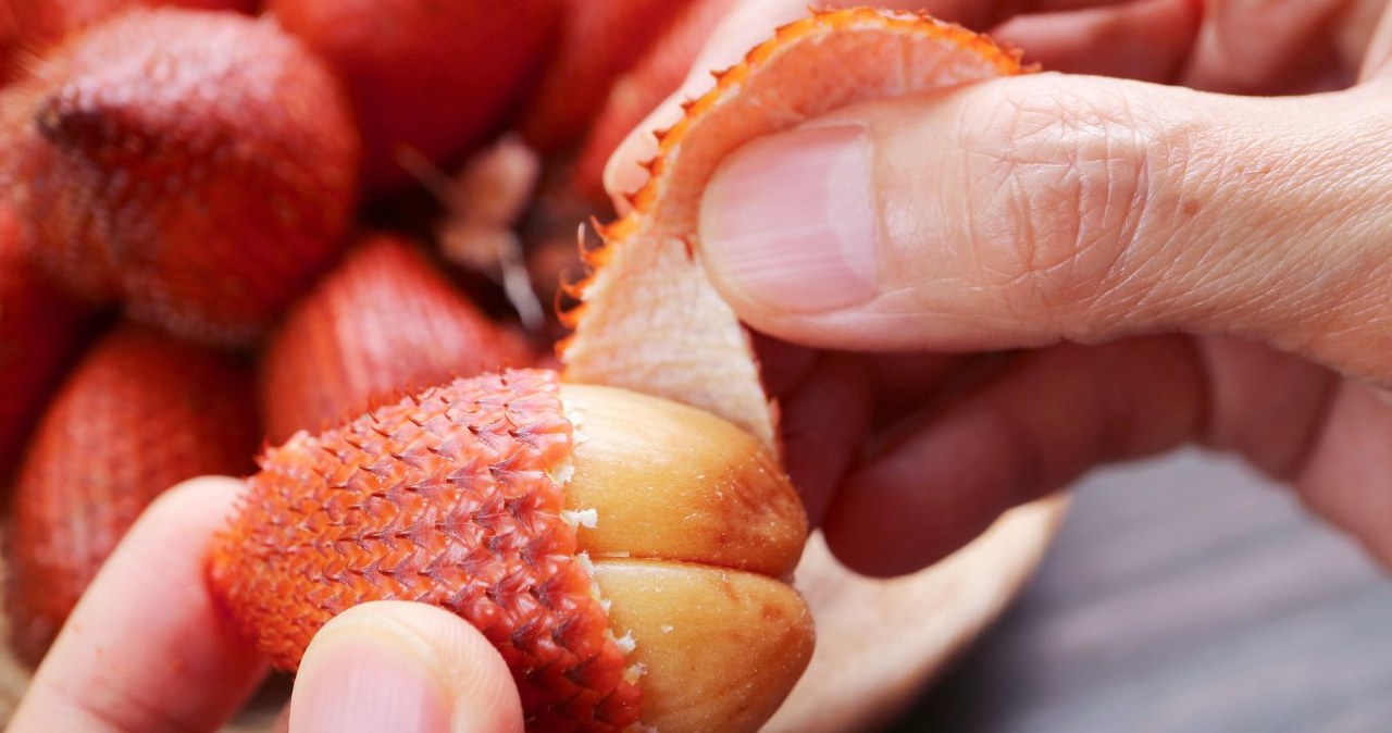 Skóra tego wartościowego owocu przypomina skórę węża lub smocze łuski. /Shiny_Coconut /Canva Pro