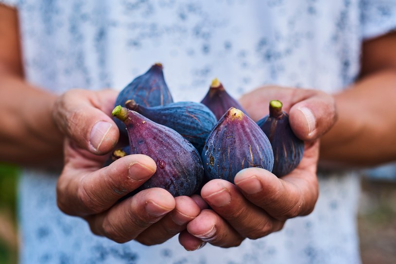 Skórka dojrzałej figi jest fioletowa a miąższ bardzo słodki i bogaty w błonnik oraz witaminy /123RF/PICSEL