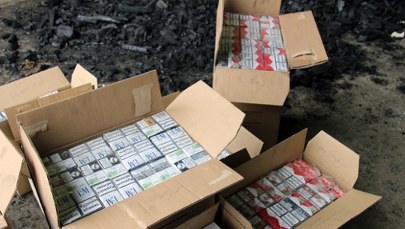 Skorumpowani celnicy chcą poddać się karze. Przymykali oczy na ogromny przemyt