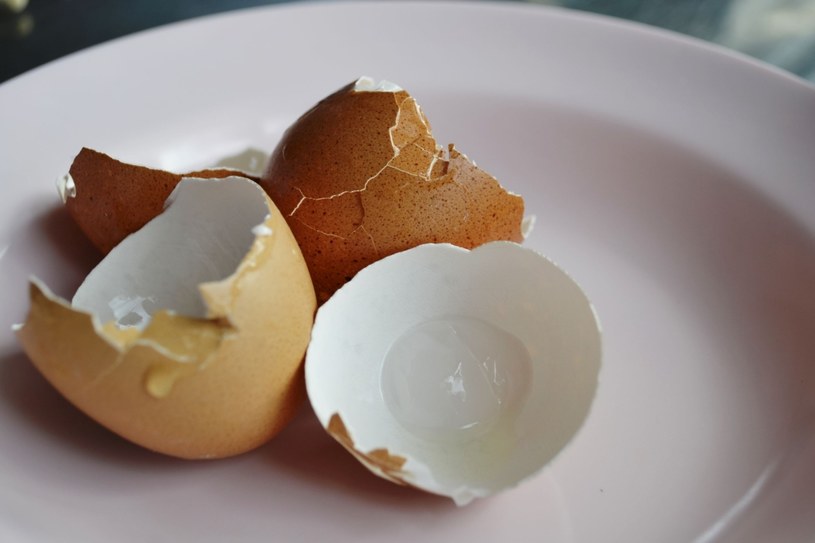 Skorupki z jajek są bogatym źródłem wapnia /123RF/PICSEL