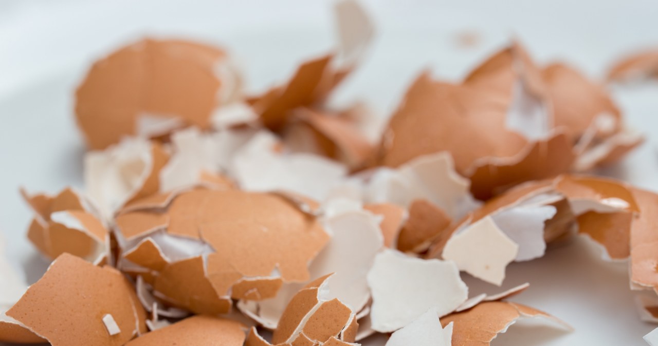 Skorupki z jajek w połączeniu z octem stanowią skuteczną odżywkę /123RF/PICSEL