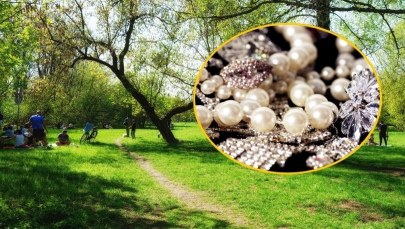 Skradli łup wart milion euro. A potem część zgubili w parku